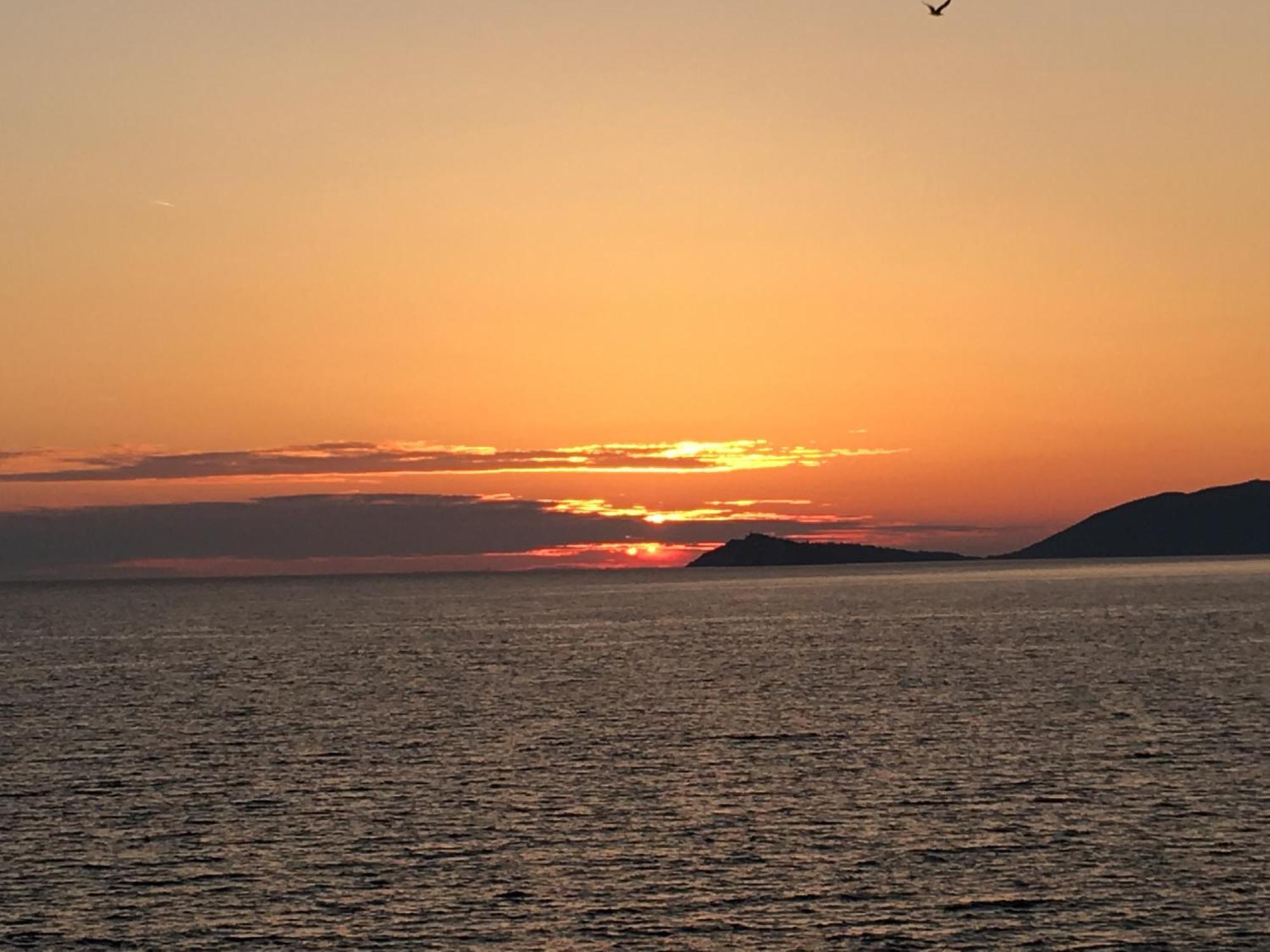Villa Ariel Luštica Exteriér fotografie